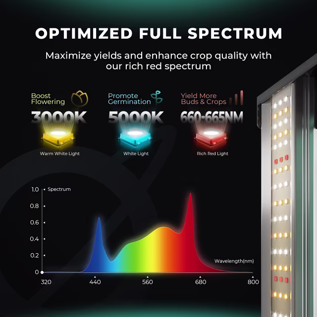 vierkante full spectrum LED kweeklamp 465 watt voor 80x80 cm kweekoppervlak met hoge efficiëntie vierkante full spectrum LED kweeklamp 465 watt voor 80x80 cm kweekoppervlak met hoge efficiëntie