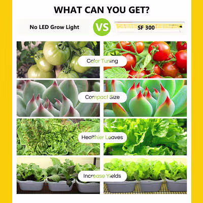 Spider Farmer Spider Farmer SF600 LED Kweeklamp Spider Farmer Spider Farmer SF600 LED Kweeklamp