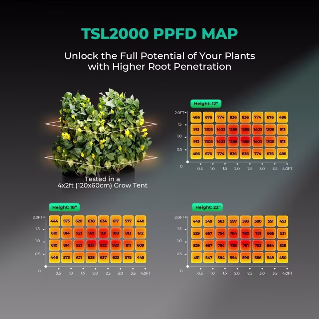 LED kweeklamp 300 Watt full-spectrum met rechthoekig ontwerp geschikt voor 60x120 cm kweekruimte LED kweeklamp 300 Watt full-spectrum met rechthoekig ontwerp geschikt voor 60x120 cm kweekruimte