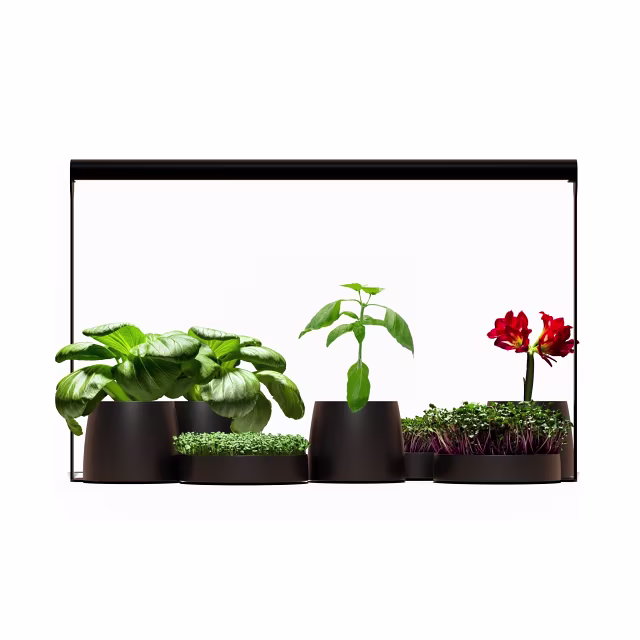 Mother Plantspectrum 16 LED kweeklampen Mother Plantspectrum 16 LED kweeklampen