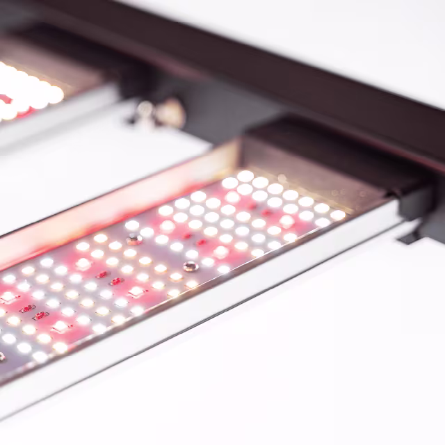 Migro MIGRO ARAY 1000 LED Kweeklamp Migro MIGRO ARAY 1000 LED Kweeklamp