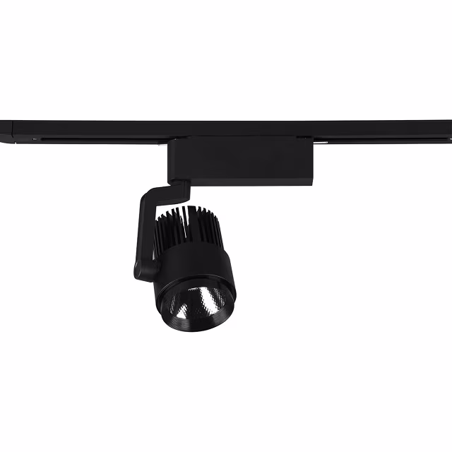 Mat zwarte dimbare 15W LED spot van aluminium met instelbare kleurtemperatuur en 1270 lumen lichtopbrengst Mat zwarte dimbare 15W LED spot van aluminium met instelbare kleurtemperatuur en 1270 lumen lichtopbrengst