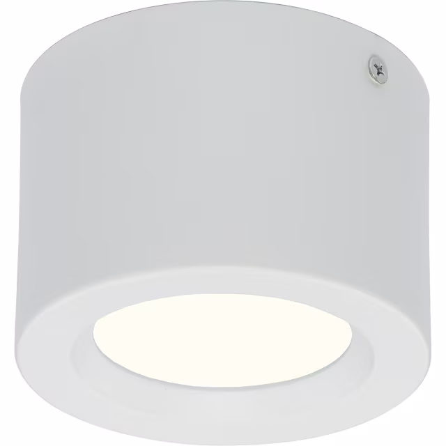 LED Downlight Opbouw Rond 5W - Natuurlijk Wit 4200K Lichtbronnen LED Downlight Opbouw Rond 5W - Natuurlijk Wit 4200K Lichtbronnen