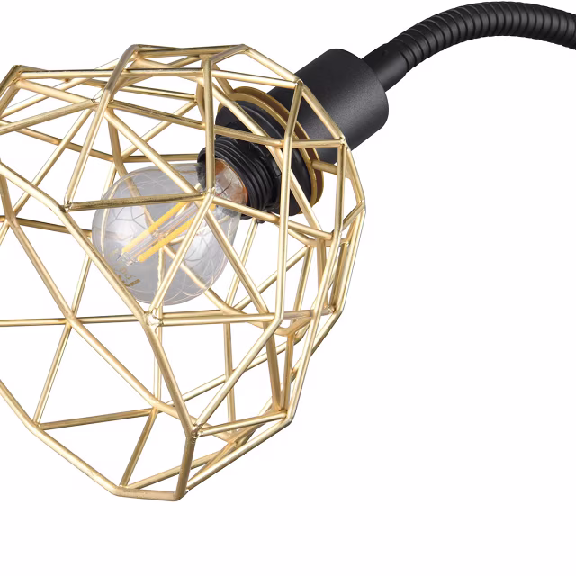 zwarte metalen vloerlamp met goudkleurige accenten en dubbele lichtpunten met E27 fitting zwarte metalen vloerlamp met goudkleurige accenten en dubbele lichtpunten met E27 fitting