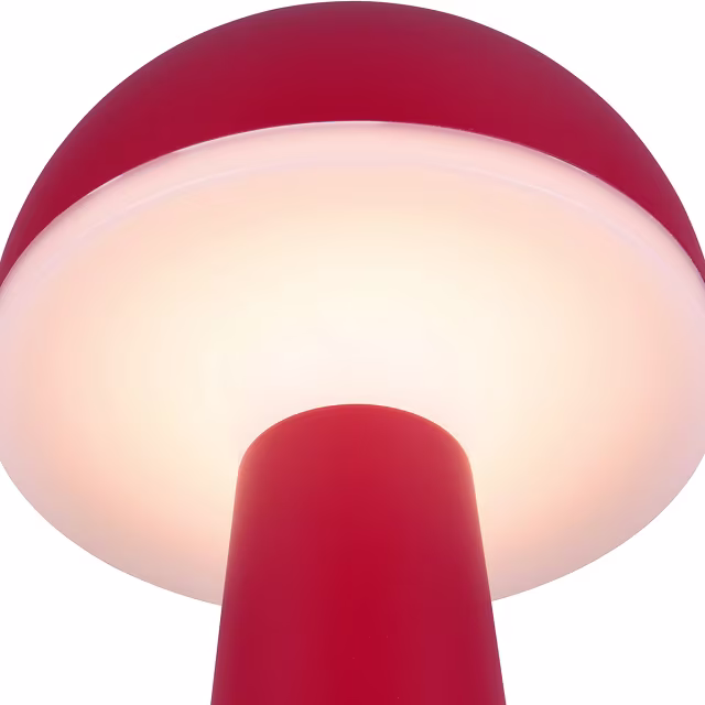 HLW LED LED Tafellamp - Trion Lungo - 2W - Aanpasbare kleur - Oplaadbare batterijen - Rood - Gegoten Aluminium HLW LED LED Tafellamp - Trion Lungo - 2W - Aanpasbare kleur - Oplaadbare batterijen - Rood - Gegoten Aluminium