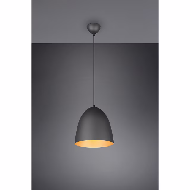 HLW LED Stijlvolle LED Hanglamp Trion Lopez - Mat Zwart & Gouden Lichtvenster - E27 Fitting HLW LED Stijlvolle LED Hanglamp Trion Lopez - Mat Zwart & Gouden Lichtvenster - E27 Fitting