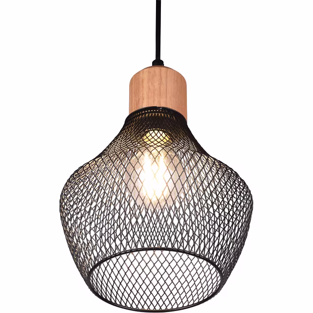 HLW LED Zwarte LED Hanglamp Trion Jenna - Mat Zwart Aluminium, E27 Fitting, 1-lichts HLW LED Zwarte LED Hanglamp Trion Jenna - Mat Zwart Aluminium, E27 Fitting, 1-lichts