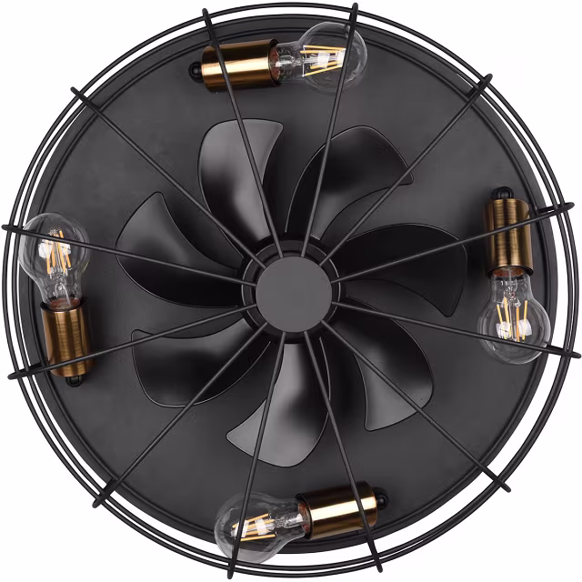 HLW LED Modern LED ceiling light with fan - matte black HLW LED Modern LED ceiling light with fan - matte black