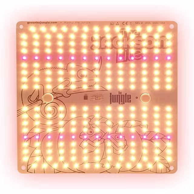 The Jungle The Jungle Jackson Lite 100W The Jungle The Jungle Jackson Lite 100W