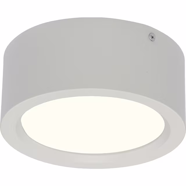 LED Opbouw Downlight Ø180mm 15W 1050lm 4200K Binnenverlichting LED Opbouw Downlight Ø180mm 15W 1050lm 4200K Binnenverlichting