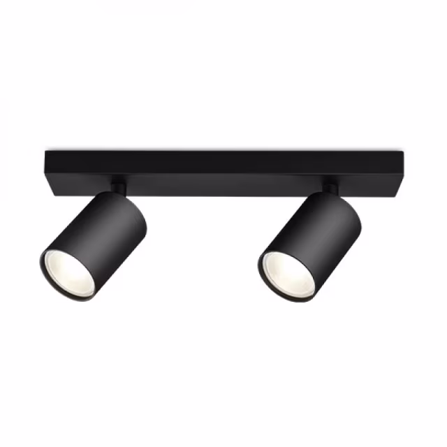 De Brinton Betin LED plafondspot 2-lichts GU10 mat zwart Binnenverlichting De Brinton Betin LED plafondspot 2-lichts GU10 mat zwart Binnenverlichting