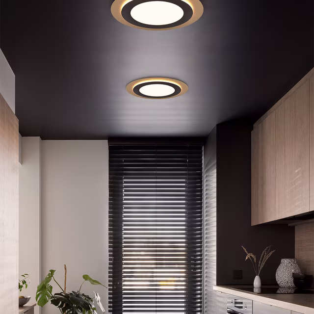 zwarte en gouden dimbare LED plafondlamp 42W met 5600 lumen en instelbare kleurtemperatuur zwarte en gouden dimbare LED plafondlamp 42W met 5600 lumen en instelbare kleurtemperatuur