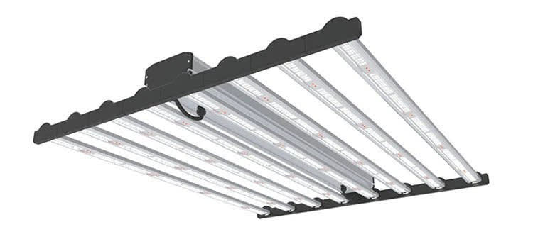 Megaphoton Megaphoton Spider 800