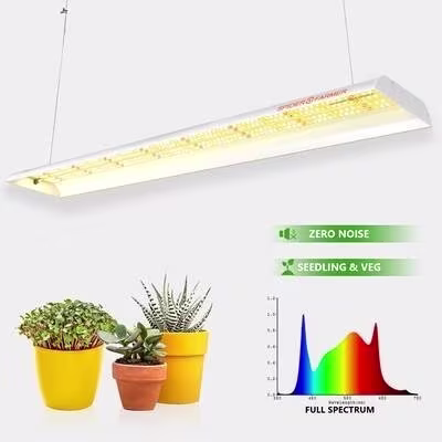 Spider Farmer Spider Farmer SF600 LED Kweeklamp Spider Farmer Spider Farmer SF600 LED Kweeklamp