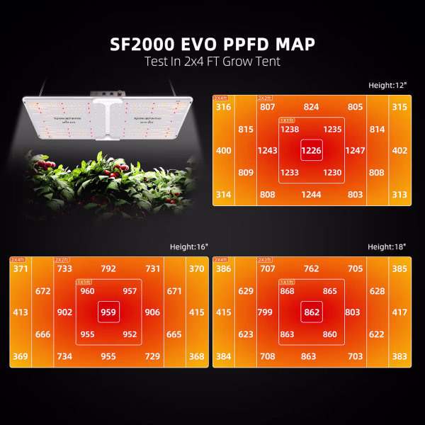 Spider Farmer Spider Farmer SF-2000 LED Grow Light Spider Farmer Spider Farmer SF-2000 LED Grow Light