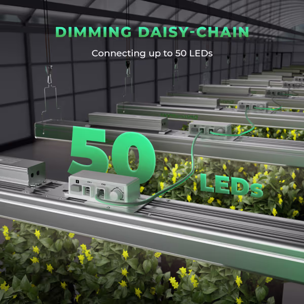 Mars Hydro Mars Hydro SP 3000 LED Grow Light Mars Hydro Mars Hydro SP 3000 LED Grow Light