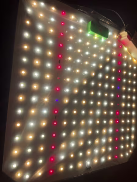 HLW LED Quantum Board | 36W | Full-Spectrum | UV HLW LED Quantum Board | 36W | Full-Spectrum | UV