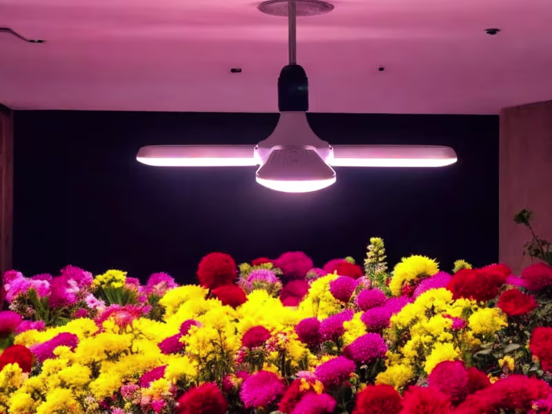 HLW HLW Chopper 4 | 40W | E27 | Full-spectrum | LED Grow Light HLW HLW Chopper 4 | 40W | E27 | Full-spectrum | LED Grow Light