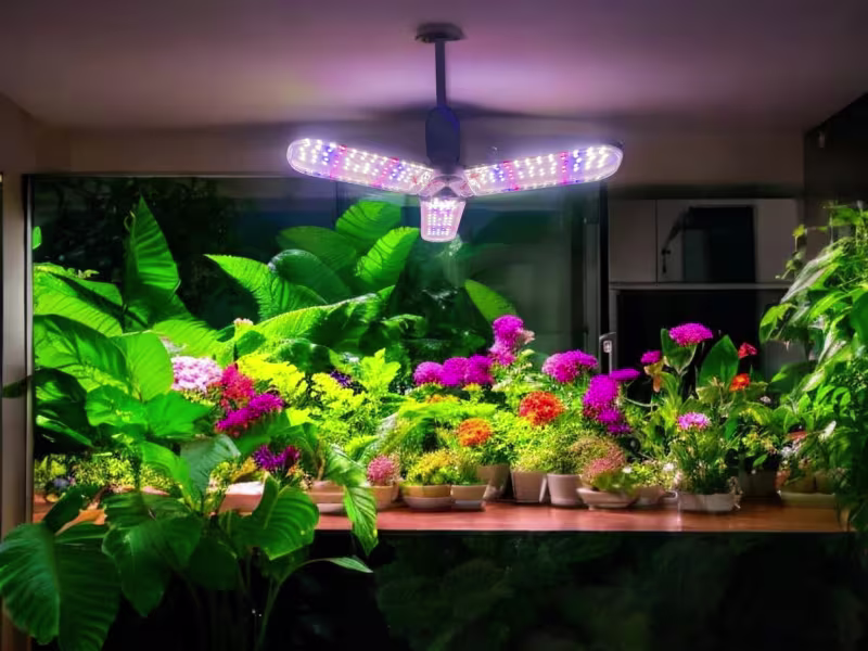 HLW HLW Chopper 3 | 30W | E27 | Full-spectrum | LED Grow Light HLW HLW Chopper 3 | 30W | E27 | Full-spectrum | LED Grow Light