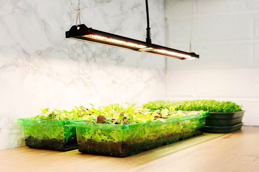 Migro MIGRO ARAY 1 LED Kweeklamp Migro MIGRO ARAY 1 LED Kweeklamp