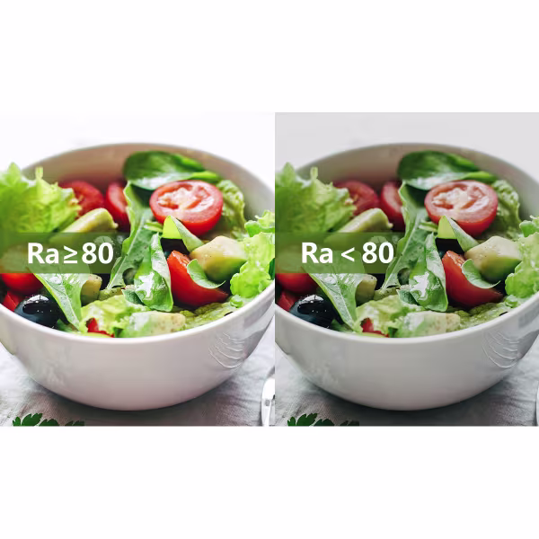 HLW LED LED Lamp E27 Fitting 10W Dimbaar Warm Wit 3000K