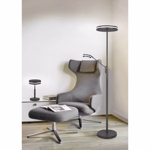 HLW LED LED Vloerlamp 5W - Dimbaar, Aanpasbare Kleur & Mat Antraciet Design HLW LED LED Vloerlamp 5W - Dimbaar, Aanpasbare Kleur & Mat Antraciet Design