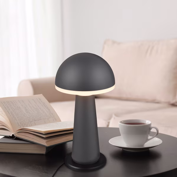 HLW LED LED Tafellamp - Trion Lungo - 2W - Aanpasbare kleur - Oplaadbare batterijen - Antraciet - Gegoten Aluminium HLW LED LED Tafellamp - Trion Lungo - 2W - Aanpasbare kleur - Oplaadbare batterijen - Antraciet - Gegoten Aluminium