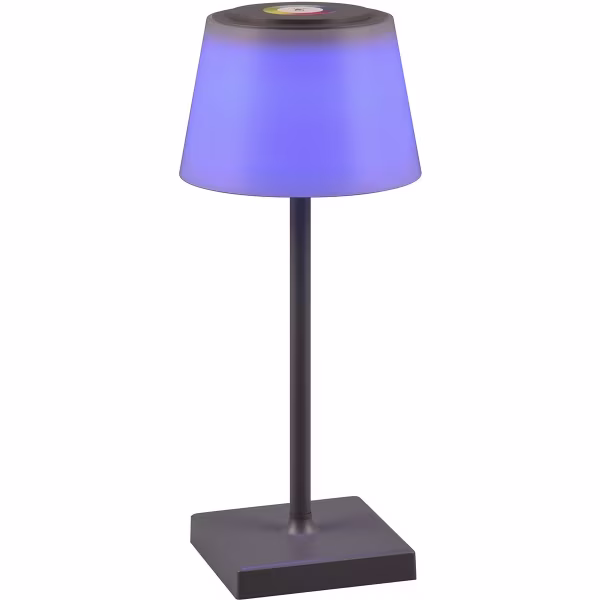 HLW LED Dimbare LED Tafellamp Trion Sansy 2.1W - RGBW, Spatwaterdicht IP44, Oplaadbaar