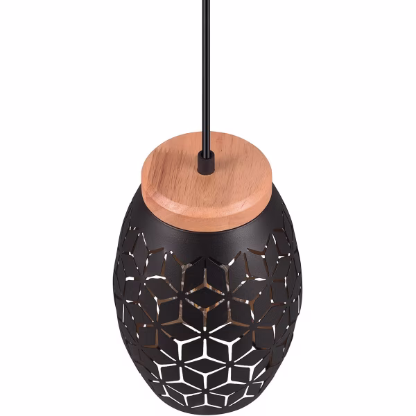 HLW LED Elegante LED Hanglamp Zwart/Goud - Metalen LED Lamp met E27 Fitting HLW LED Elegante LED Hanglamp Zwart/Goud - Metalen LED Lamp met E27 Fitting