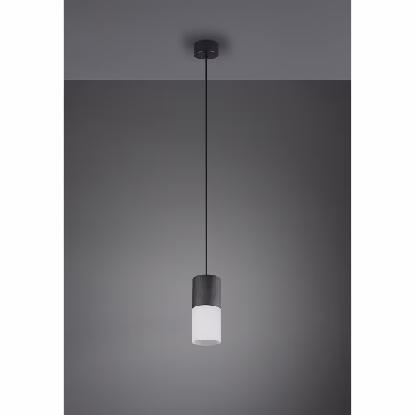 HLW LED Black LED Pendant Lamp Trion Roba – Adjustable, 1-light, Matte Black Aluminum HLW LED Black LED Pendant Lamp Trion Roba – Adjustable, 1-light, Matte Black Aluminum