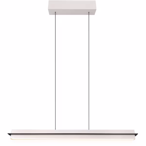 HLW LED Moderne Grijze Metalen LED Hanglamp Trion Semih 22W met Aanpasbare Kleur HLW LED Moderne Grijze Metalen LED Hanglamp Trion Semih 22W met Aanpasbare Kleur
