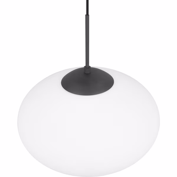 HLW LED Zwarte LED Hanglamp van Metaal - Trion Ferdi 40cm, E27, Verstelbaar HLW LED Zwarte LED Hanglamp van Metaal - Trion Ferdi 40cm, E27, Verstelbaar