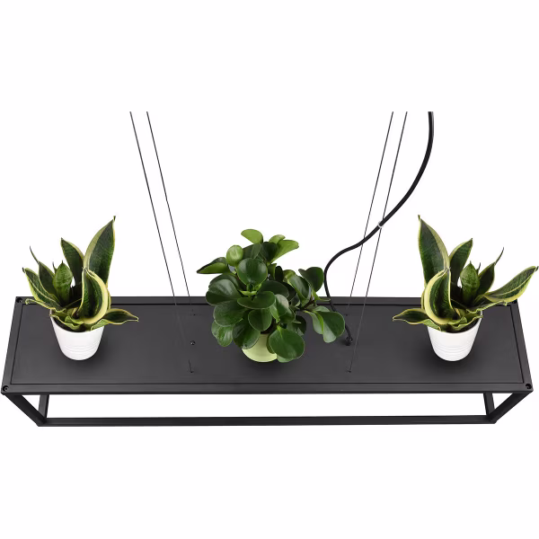 HLW LED Black LED Pendant Lamp Trion Kandin - 4-light, Matte Black Aluminum, E27 Fitting HLW LED Black LED Pendant Lamp Trion Kandin - 4-light, Matte Black Aluminum, E27 Fitting