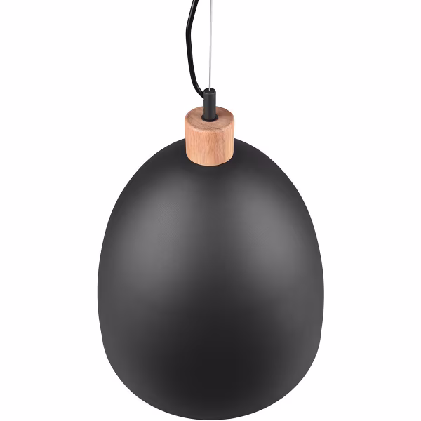 HLW LED Stijlvolle LED Hanglamp Trion Jaguar - Mat Zwart, 60W LED, E27 Fitting HLW LED Stijlvolle LED Hanglamp Trion Jaguar - Mat Zwart, 60W LED, E27 Fitting