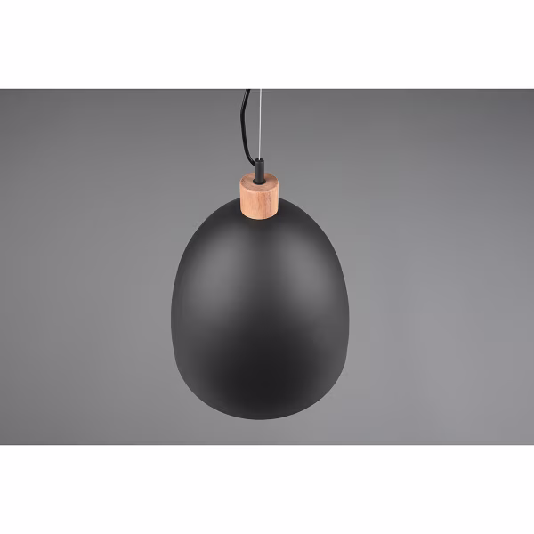 HLW LED Stijlvolle LED Hanglamp Trion Jaguar - Mat Zwart, 60W LED, E27 Fitting HLW LED Stijlvolle LED Hanglamp Trion Jaguar - Mat Zwart, 60W LED, E27 Fitting