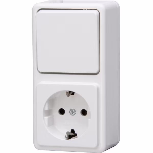 KOPP KOPP 1-gang socket + two-way switch with earth connection