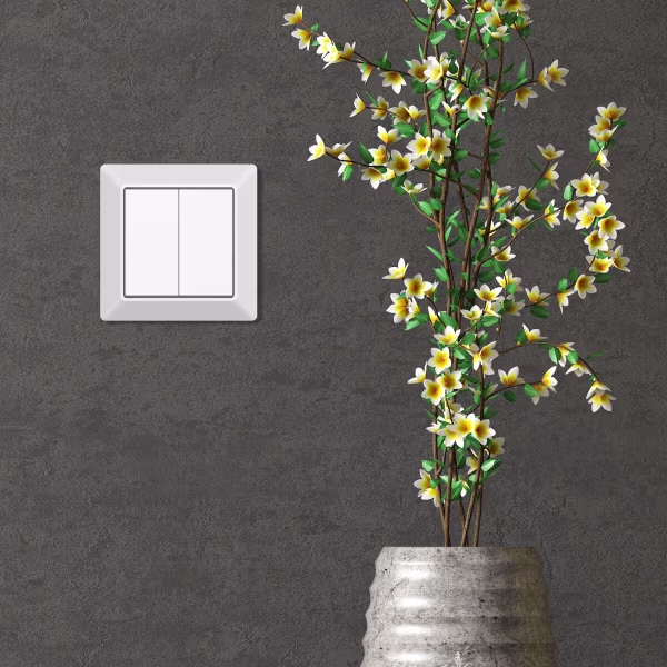 EcoDim EcoDim 2-voudige Zigbee smart schakelaar (Philips Hue) EcoDim EcoDim 2-voudige Zigbee smart schakelaar (Philips Hue)