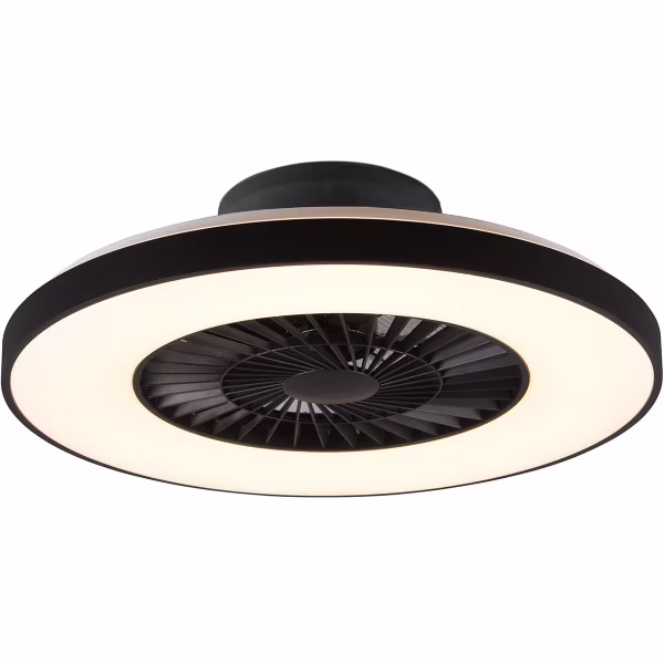 HLW LED Dimmable LED Ceiling Fan 40W Matte Black 5000lm HLW LED Dimmable LED Ceiling Fan 40W Matte Black 5000lm