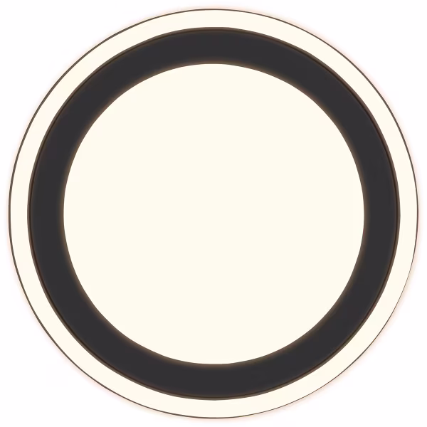 HLW LED LED Plafondlamp - Plafondverlichting - Trion Coman - 24.5W - Warm Wit 3000K - Rond - Mat Zwart - Kunststof HLW LED LED Plafondlamp - Plafondverlichting - Trion Coman - 24.5W - Warm Wit 3000K - Rond - Mat Zwart - Kunststof