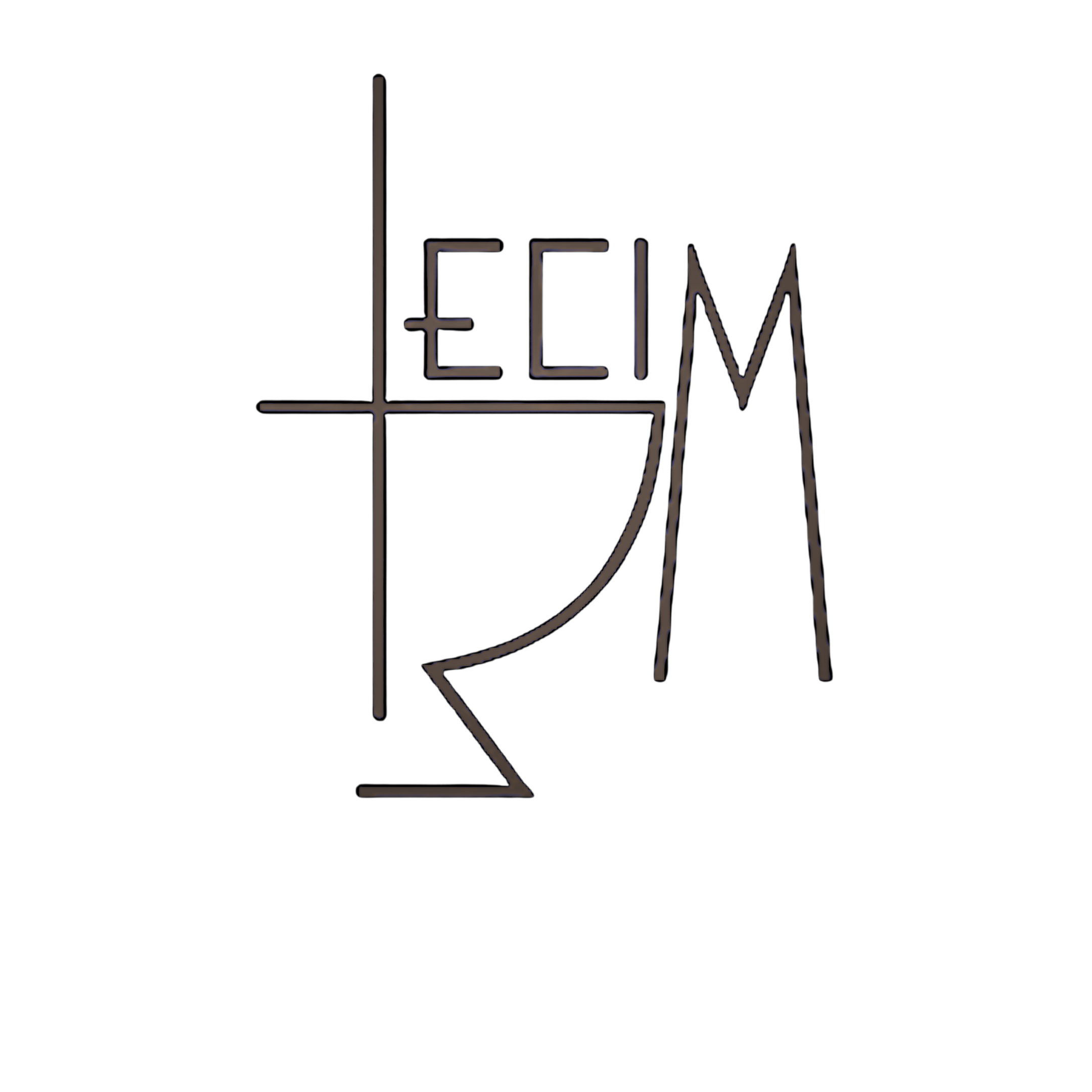 Logo ECIM Negativo
