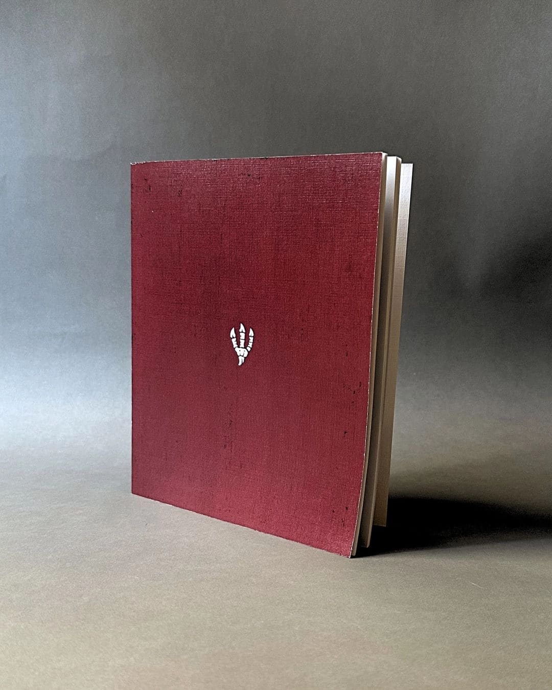 《鴉的奇形筆記》