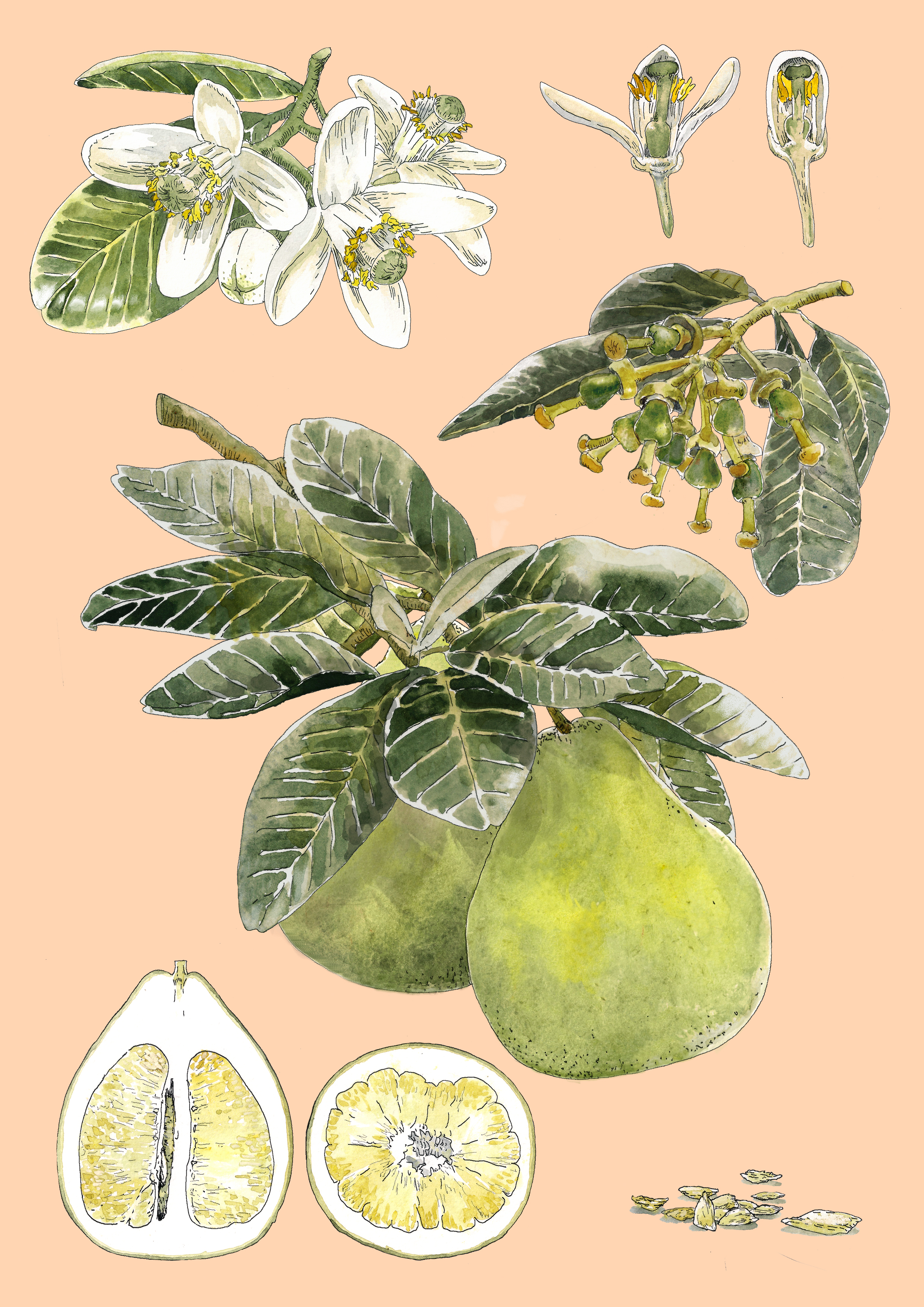 台毒誌 To̍k magazine 系列合作