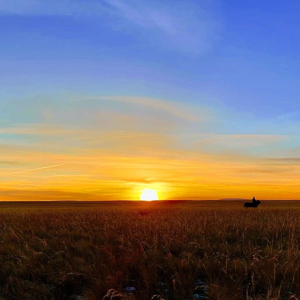 Nyamuhai artistic photography - Urban landscapes Mongolia