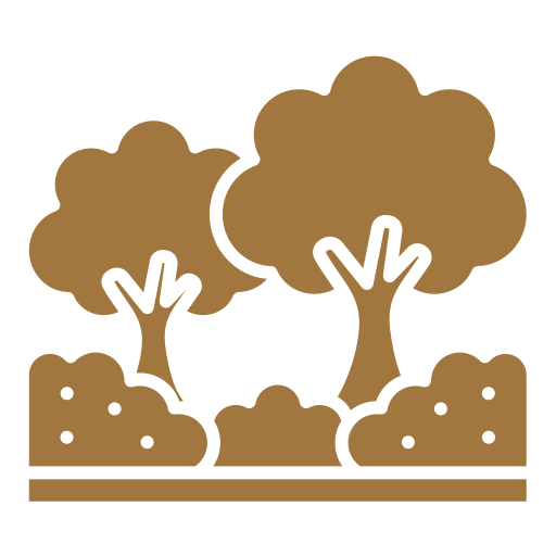 Landscaped Gardens