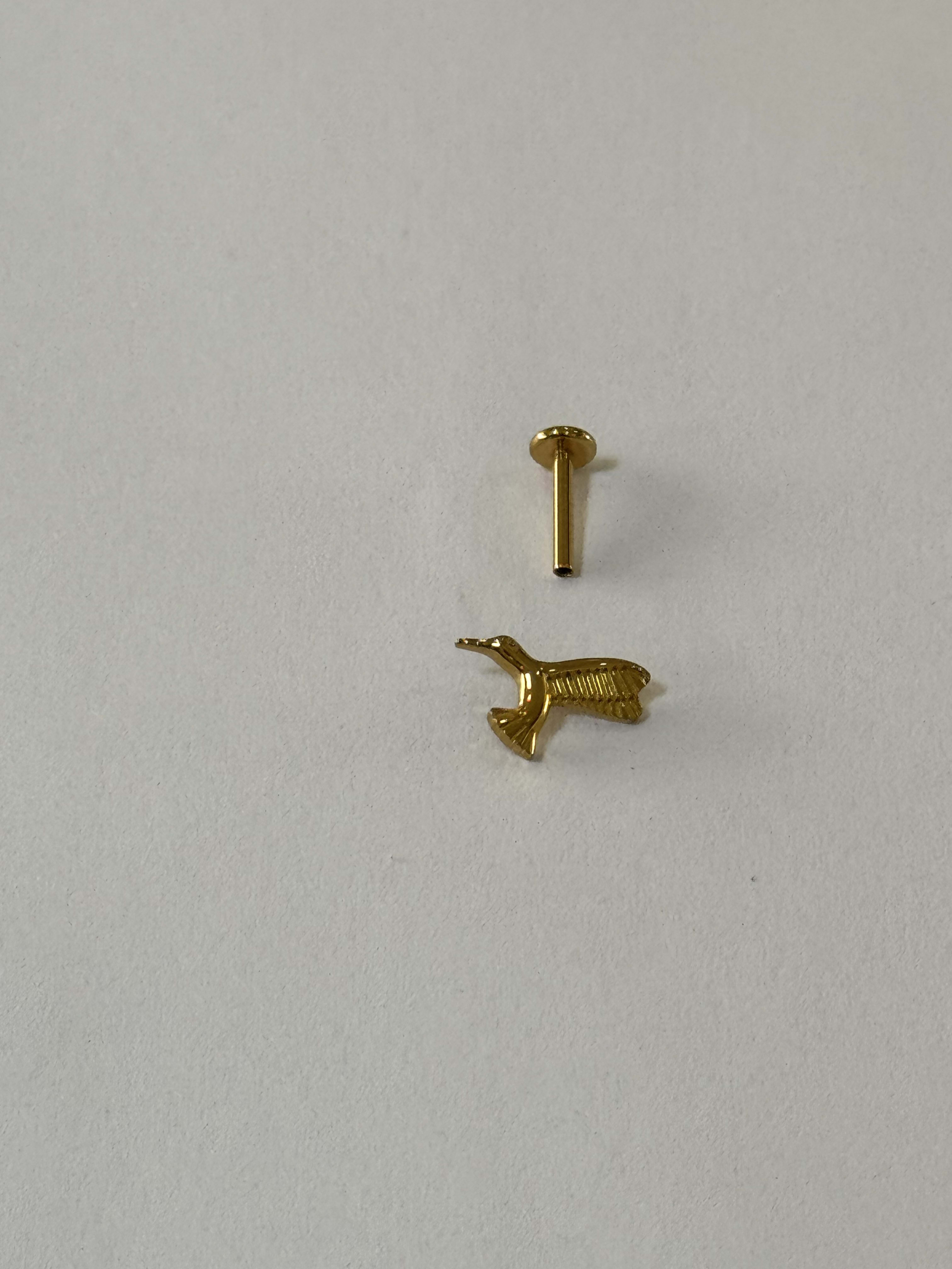 Labret Colibrí Dorado