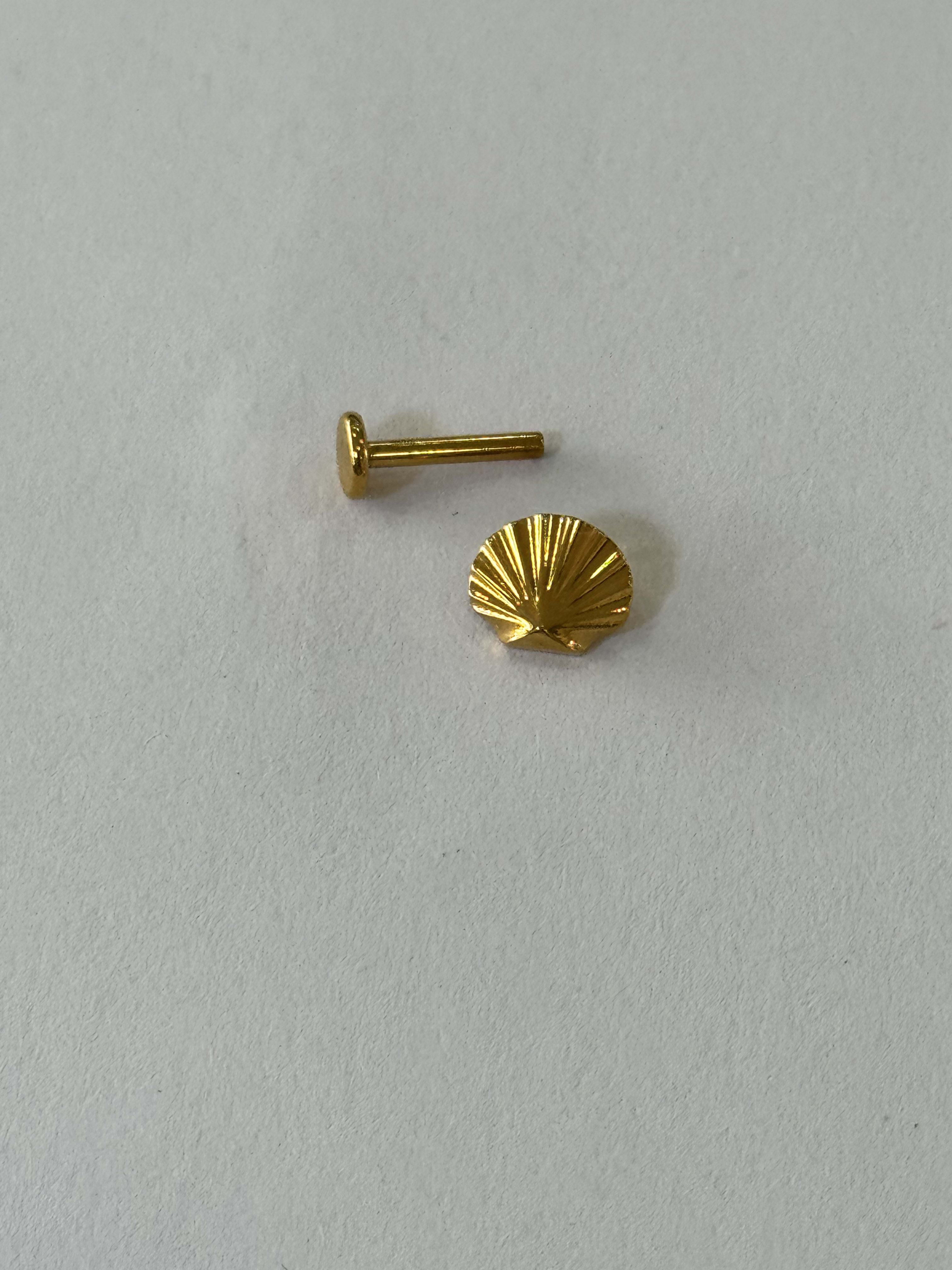 Labret Concha Dorado