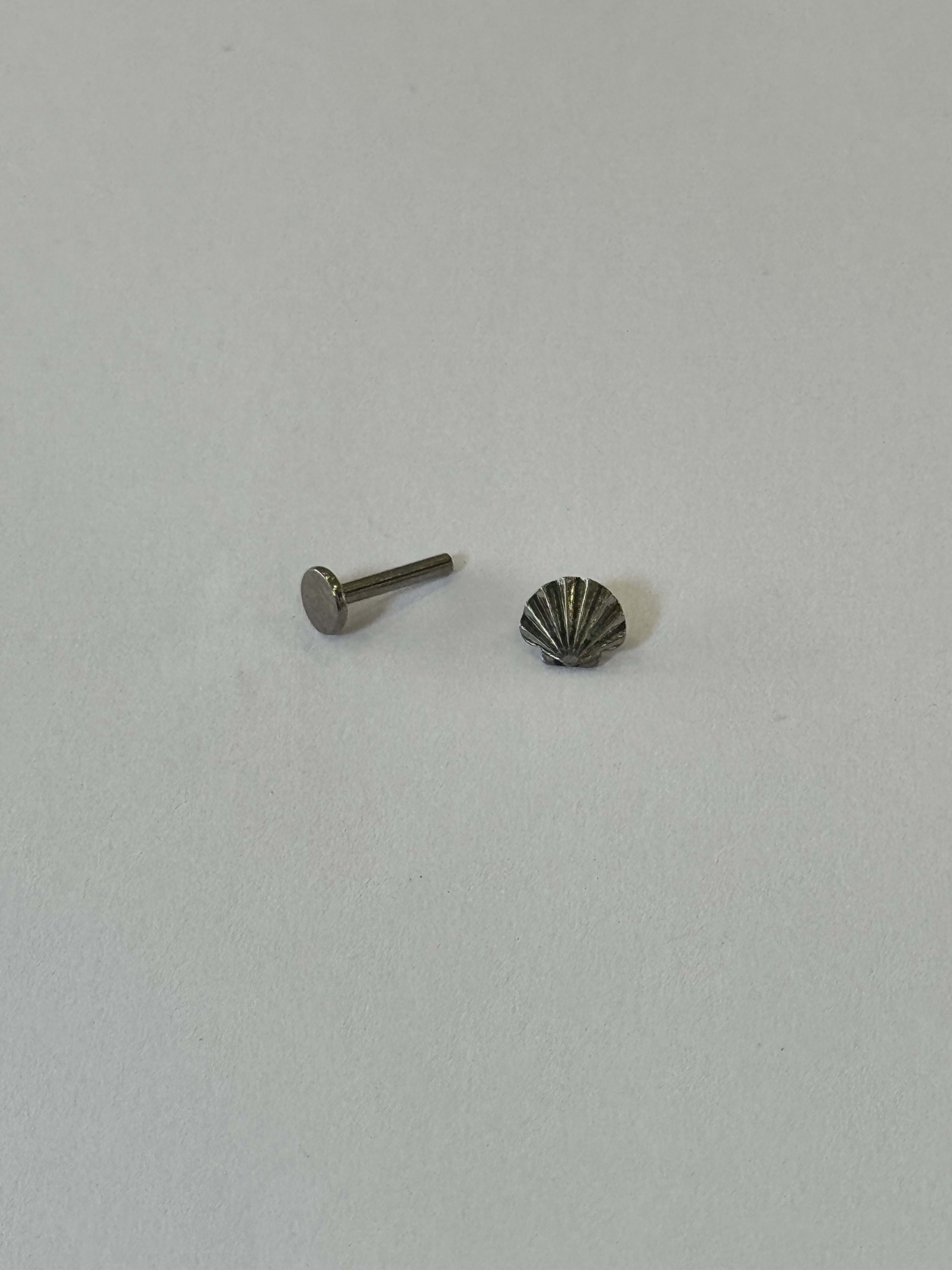 Labret Concha Plateado