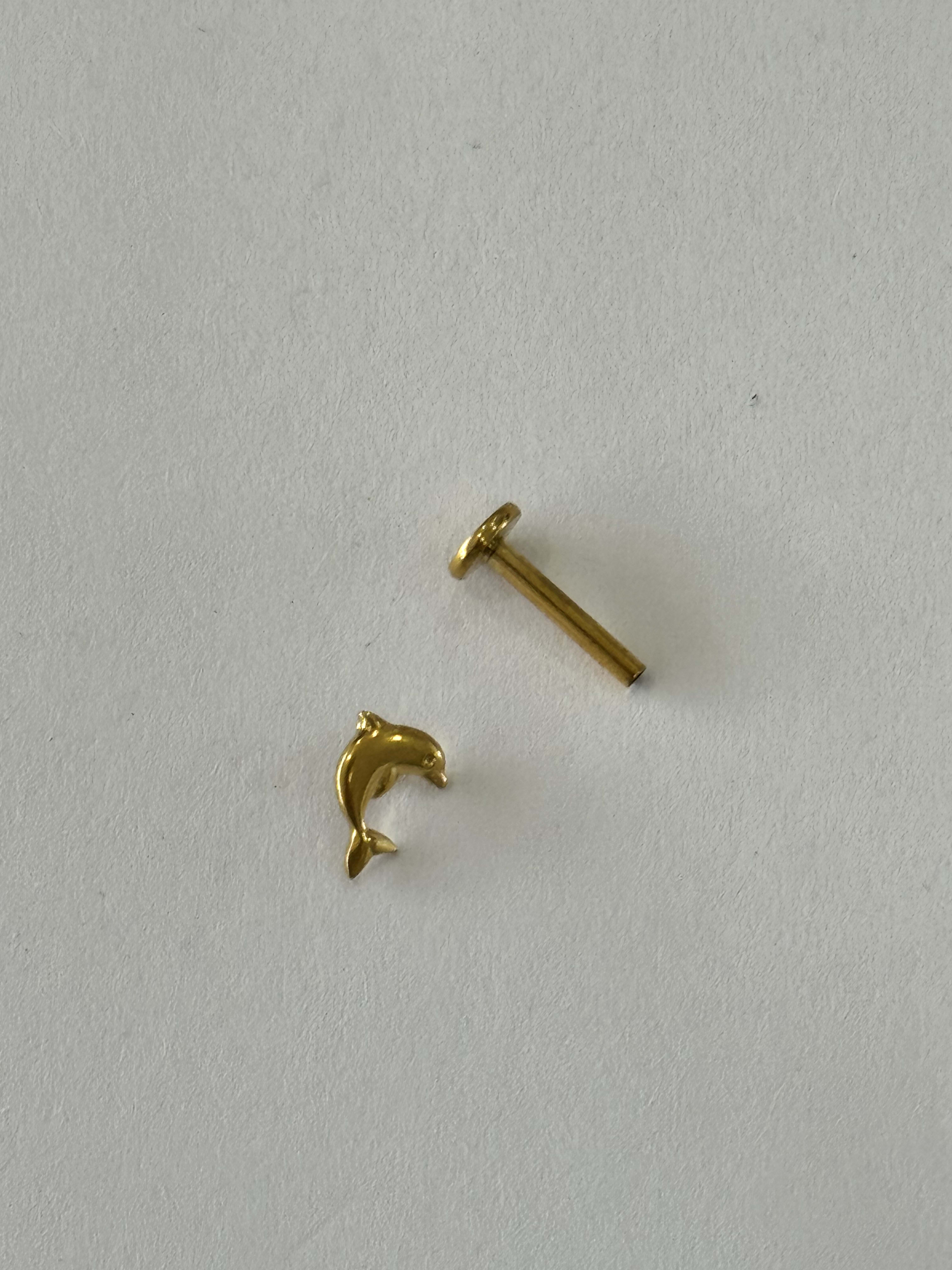 Labret Delfin Dorado