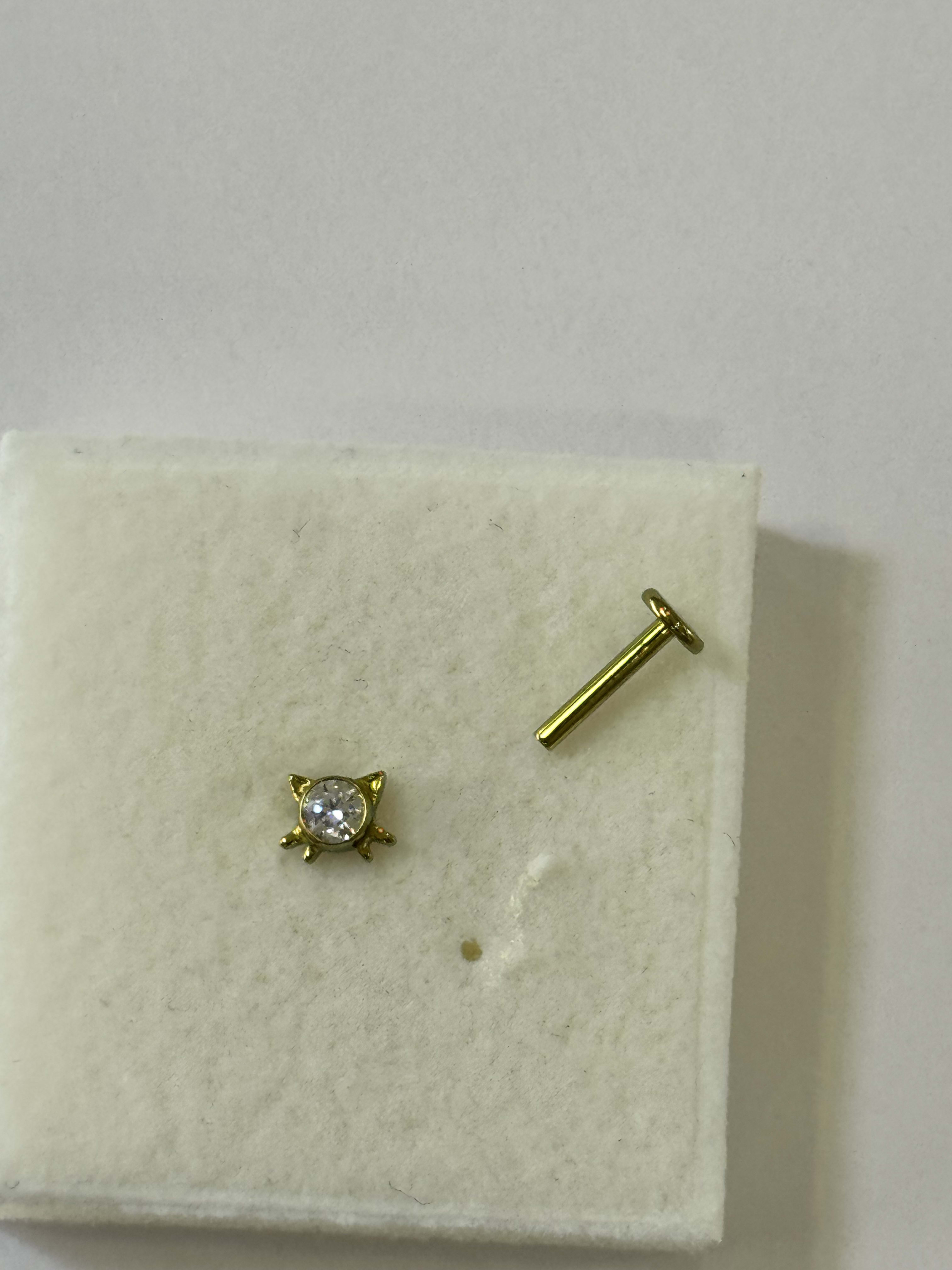 Labret Gato Dorado