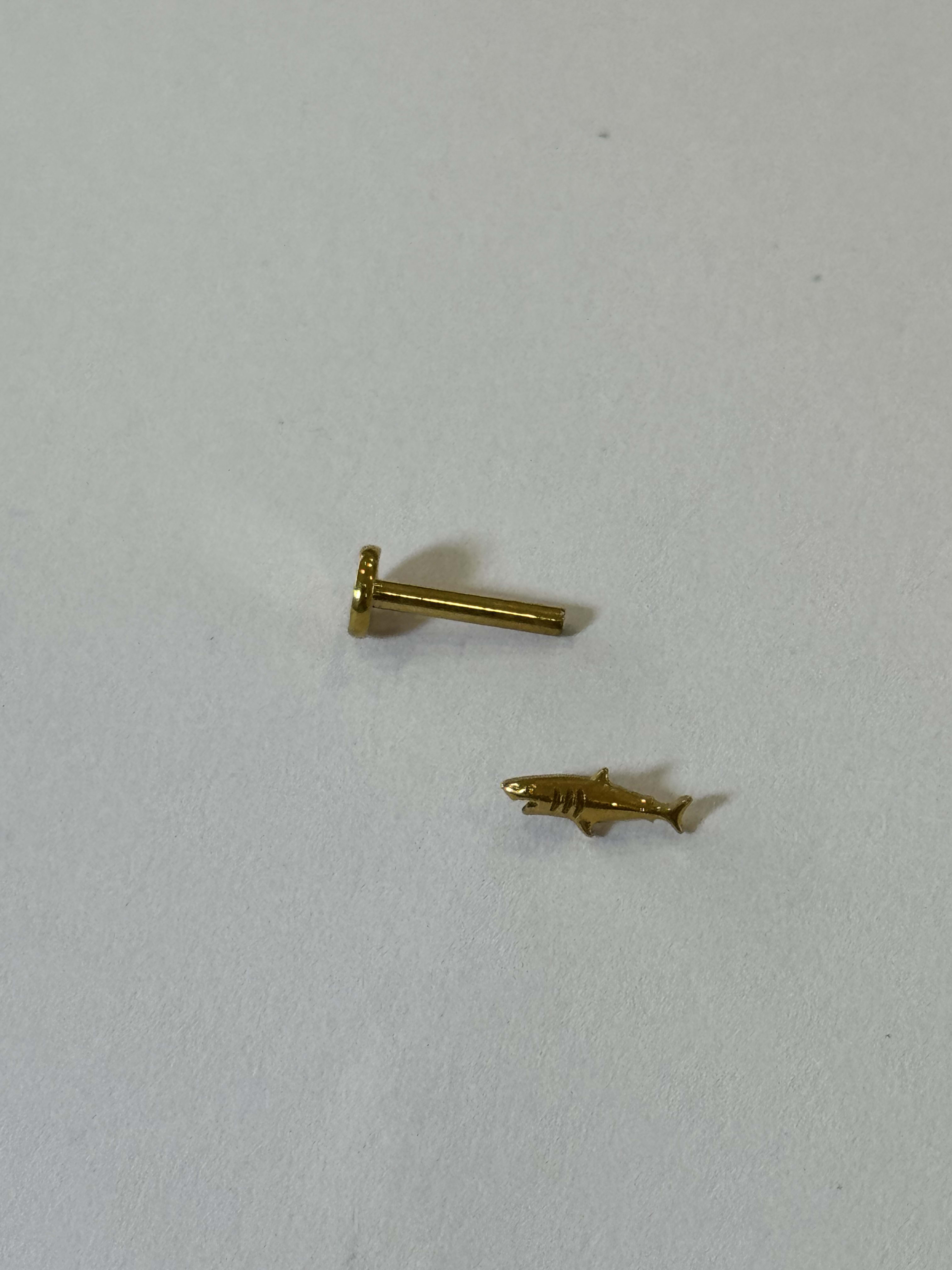 Piercing labret titanio 16G, tiburon